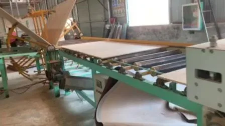 中国青島木工機械両面合板ワイドベルトサンダー